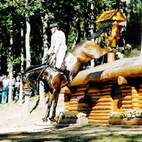 Scorpio Equestrian - Competition